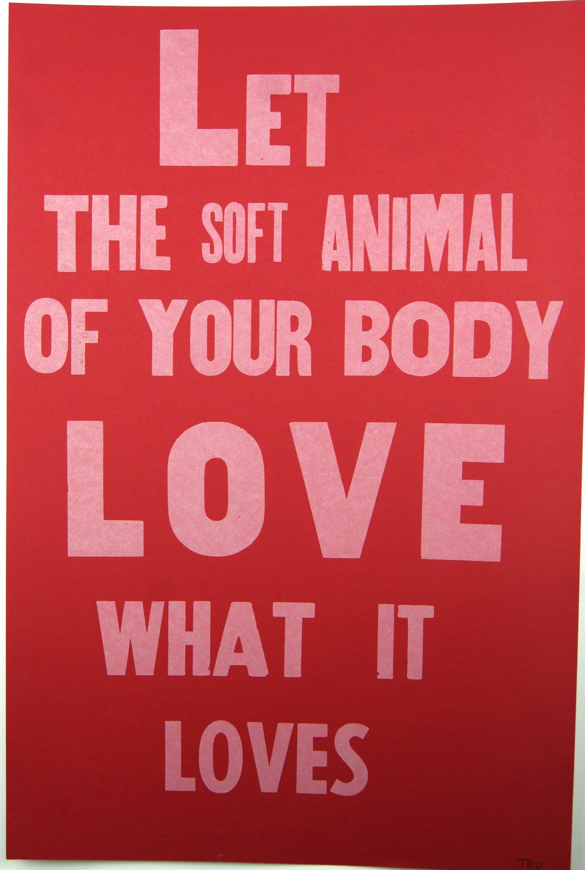 Mary Oliver: The Family of Things
